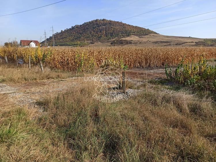 Teren 4606 mp-ideal investitie-Sarata - 3