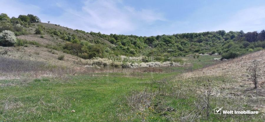 Teren autorizat pe Valea Garboului, Floresti limita Cluj, Intravilan-UL1, 707mp - 7