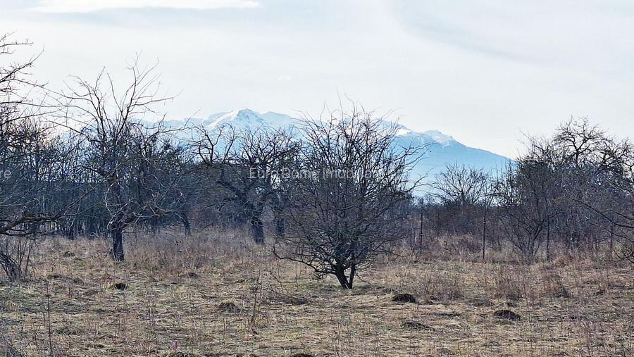 Teren intravilan pentru Investitie!!!,933mp in Ghimbav, 50 euro/mp neg. - 6