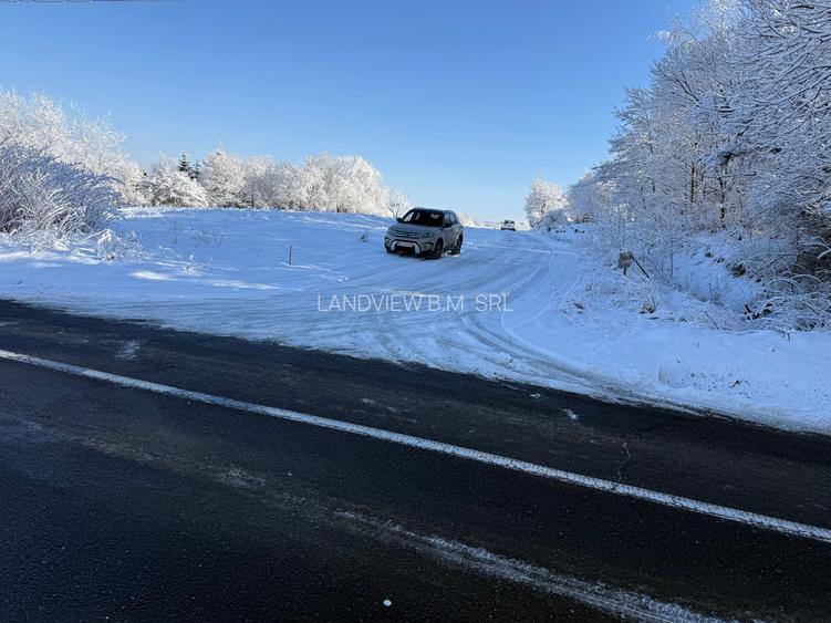 Teren intravilan 500 sau 1000 mp Bran-Tohanita la dum asfaltat - 14