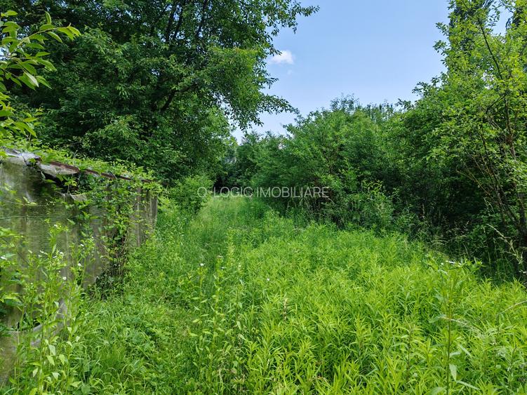 Casa 6 camere libera la vanzare zona Bartolomeu - 31