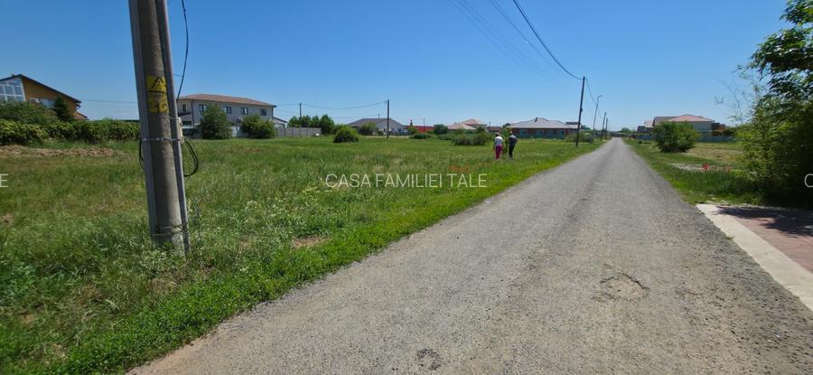TEREN PREMIUM DE VÂNZARE ÎN DUMBRĂVIȚA – LÂNGĂ PĂDURE - 3