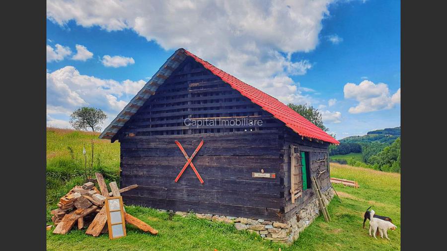 Teren intravilan  in Sohodol , Alba  - 4