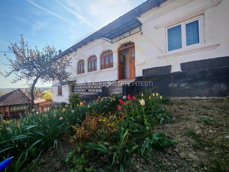 Proprietate compusă din 2 case,3 anexe,teren 3.233 m – Dârmănești, județul Argeș - 9