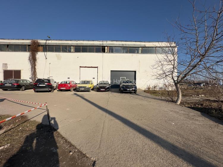 Hala renovata cu rampa de la 492mp la 1000mp, zona Carrefour Felicia - 7