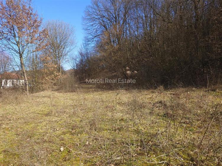 Teren intravilan la liziera padurii - 9