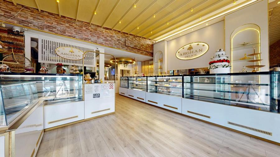 Spatiu comercial cu teren Arcul de Triumf - 5