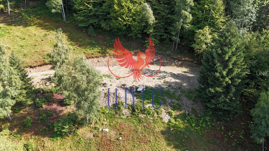 18000 mp de natura pura ,Lupeni, langa Straja - 16