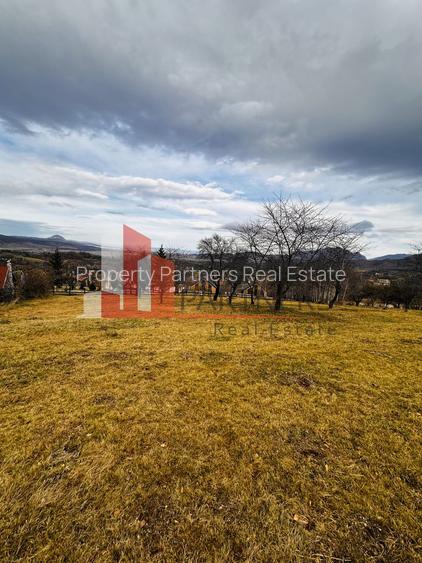 Teren 1000 mp Bran/ Sohodol - 4