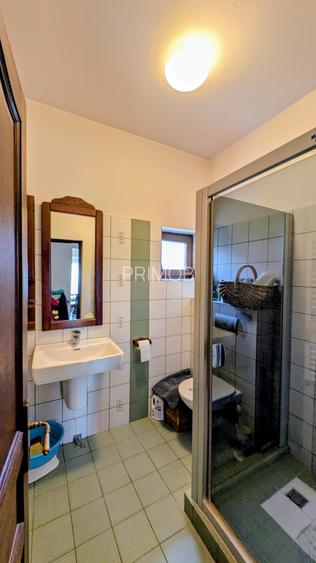 Martha Bibescu,rustic/cochet,4 dormitoare,living-semineu,mobilata,lux,Mogosoaia - 5