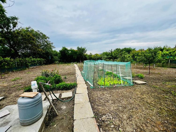 Casă individuală cu teren generos 900mp - Zona Bogdăneștilor - 7