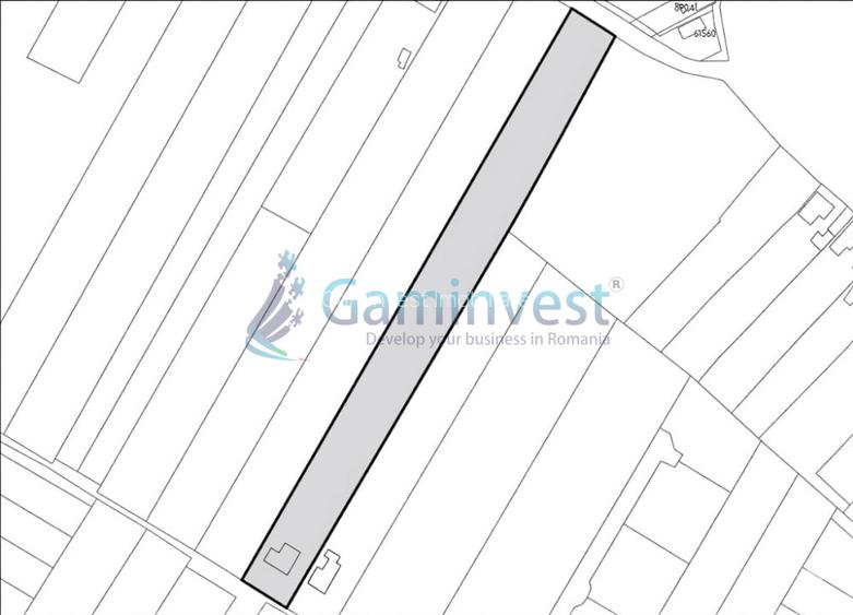 Teren de vanzare in Betfia, 5487 mp intravilan, Bihor - 4