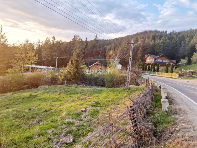 Teren cu vedere la Muntele Ceahlau - 22