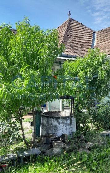 Casa individuala cu 2 camere in Ozd, Mures - 3