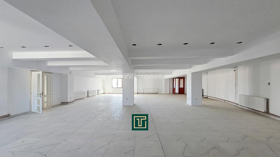 Proprietate multifunctionala - teren generos, cladire si hala in Lugoj - 17