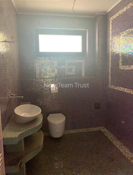 Vanzare  Casa Pipera-Vila Duplex Sc Americana-Vila individuala Iancu de Nicolaie - 19