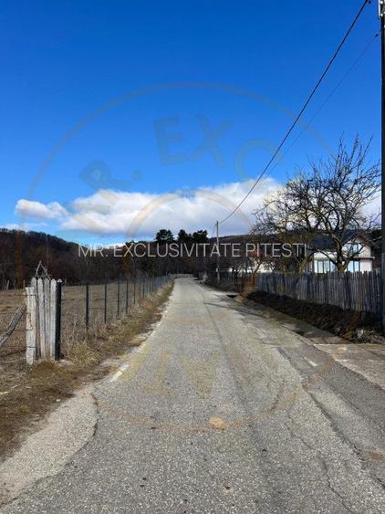 Teren Cicanesti Arges, la 10 KM de Transfagarasan - Comision 0% - 4