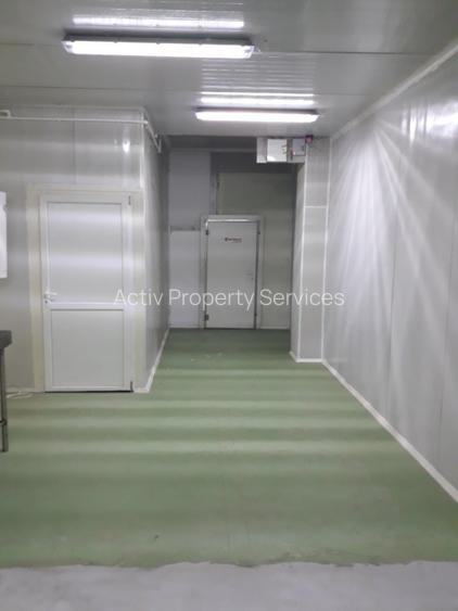 Hala temperatura controlata Magurele - 3