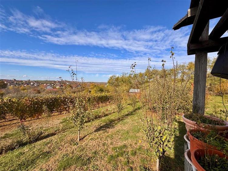 Proprietatea deosebita cu 4000mp teren, Barnova