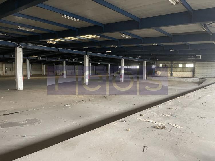 INCHIRIERE HALA | DEPOZIT - OTOPENI CENTURA  |  20.0000 MP - 24