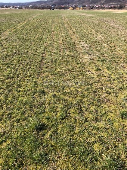 Teren 4.000mp strategic langa Pentarom & Dacia-Renault l Acces DN73 - 14