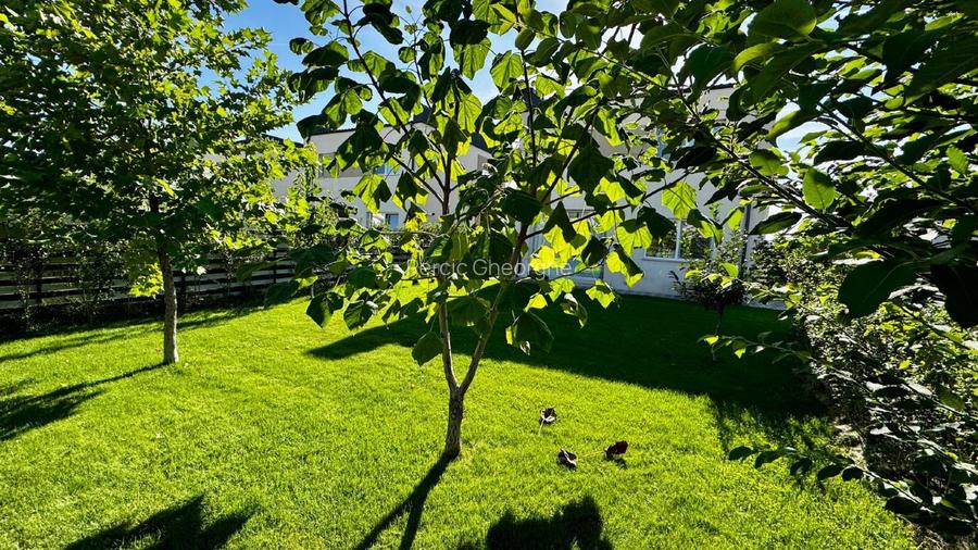 Casa superba in cartier linistit si prietenos - 8