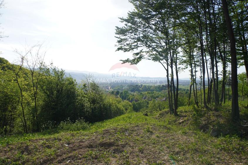 Teren 15,000mp Sighetu Marmatiei / Strada Mocăniței - 9