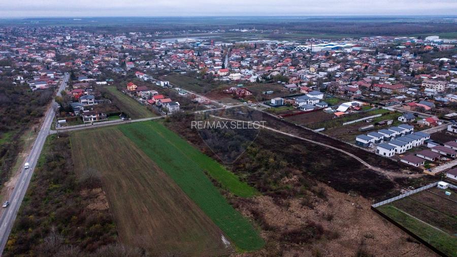 Vanzare teren intravilan 10.000mp Afumati - Strada Teiului - 10