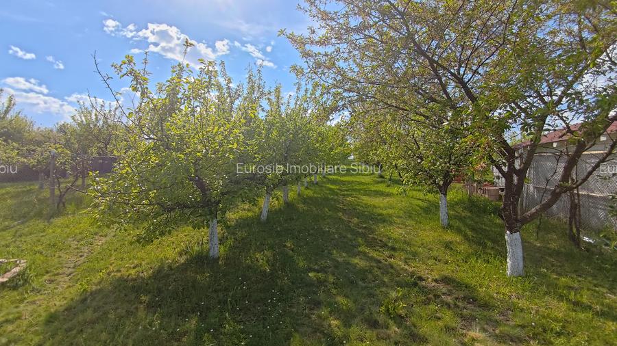 Teren intravilan 1000 mp in Sibiu Daia Noua - 7