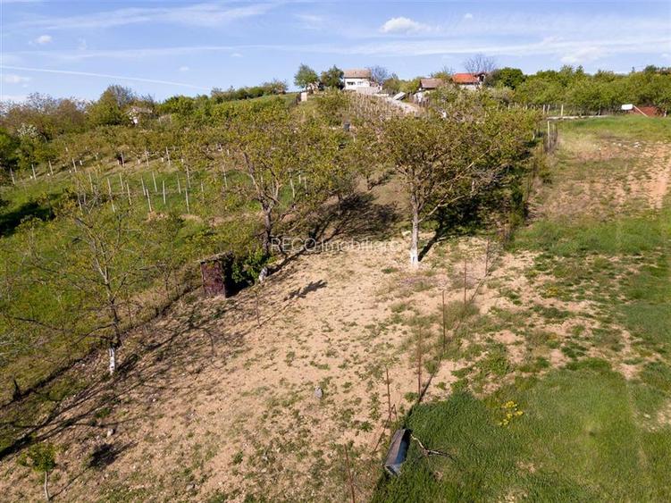 RECO Teren intravilan in Saldabagiu de munte zona Gheorghe Doja - 2