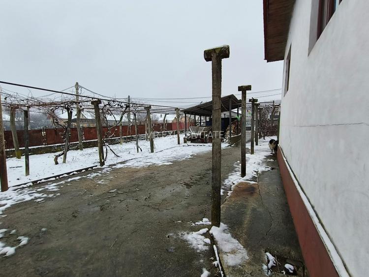 Proprietate rară – 2 case + livadă, vie și teren generos, la 20 km de Târgu Jiu - 14