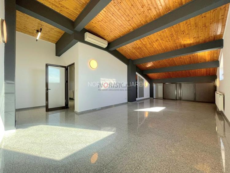 Închiriere | 3 camere | 175 mp | 4 locuri parcare - 5