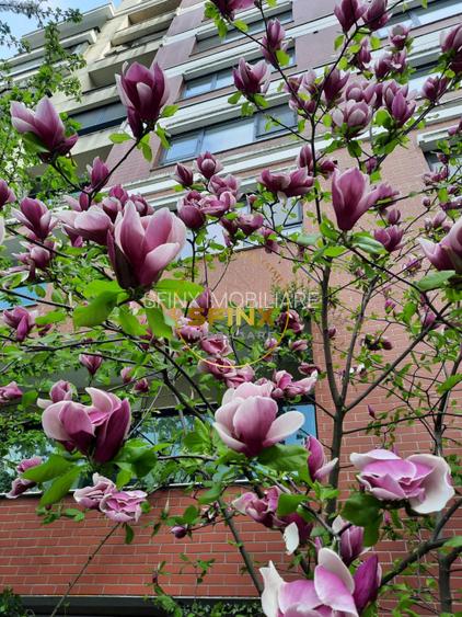 Emerald Residence, vedere lac, 4 camere, pet friendly, 2 locuri parcare, boxa - 33