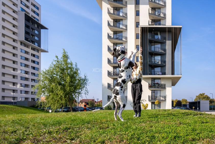 2 camere  -131545 EURO cu TVA INCLUS - 15