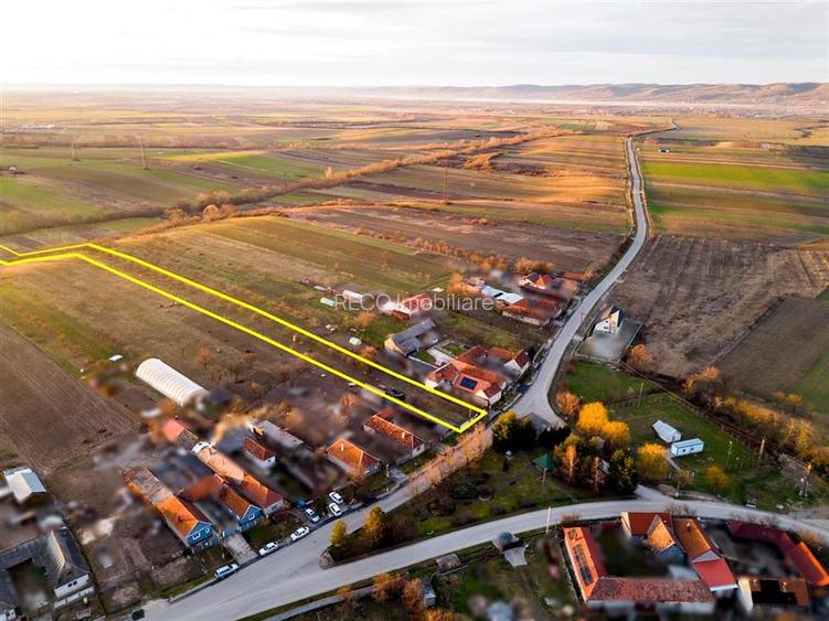 RECO Teren intravilan pentru loc de casa 5342 mp-  sat.Hotar - 3