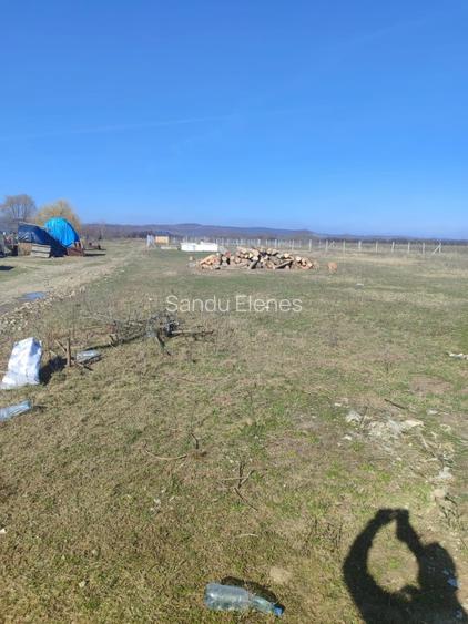 Teren Intravilan comuna Osorhei Bihor. - 7