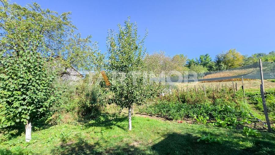 Casa cu teren generos  Haghig - 29