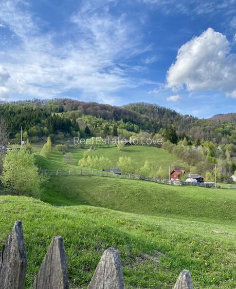 Teren panoramic insorit, utilitati, panta mica si padure, turism sau vacanta - 19