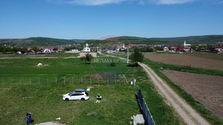 Teren de vanzare 8.700 mp în Livada comuna Iclod - 10