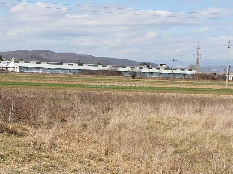 TEREN AGRICOL BABENI LANGA ABATOR LA PROVINCIA - pretabil ferma cu panour solare - 26