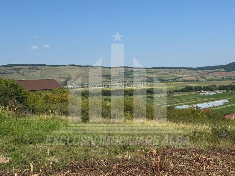 Teren intravilan | De vanzare | 1000 mp | 17 ml deschidere | Micesti - 2