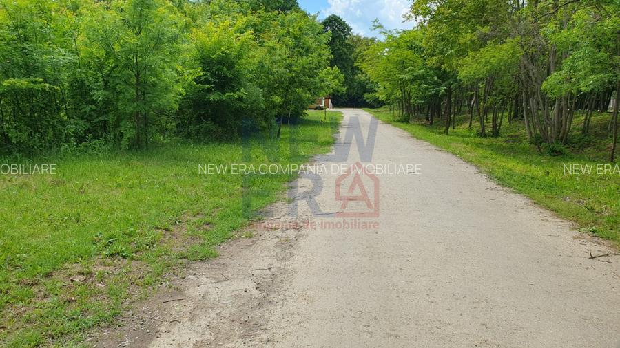 De vanzare 2.770mp teren intravilan Snagov - 5