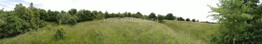 Teren intravilan de vanzare, pret usor negociabil - 6