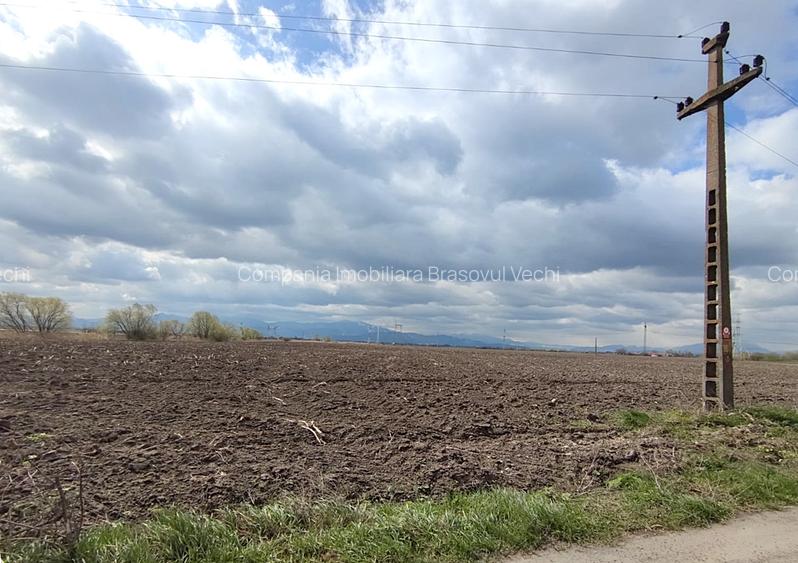 Teren intravilan cu potențial ridicat de dezvoltare, Brașov, Cartier Stupini. - 5