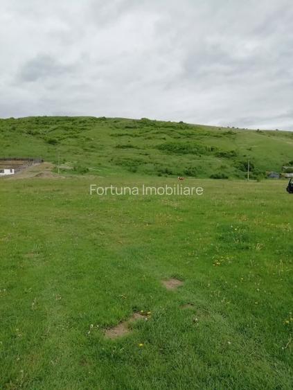 Teren intravilan Piatra Neamt - 2