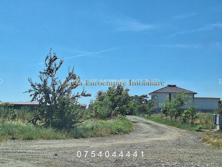 Teren de vanzare in Constanta, Veterani - 500 mp - 3