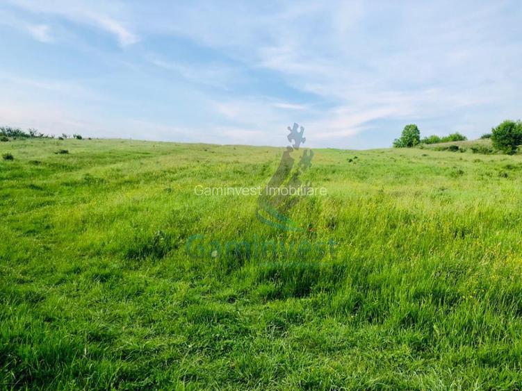 Teren mixt de vanzare in Hidiselu de Jos, Bihor - 3