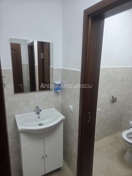 Spatiu 106 mp -ideal cabinete / birouri -compartimentat -- Calea Severinului  - 11