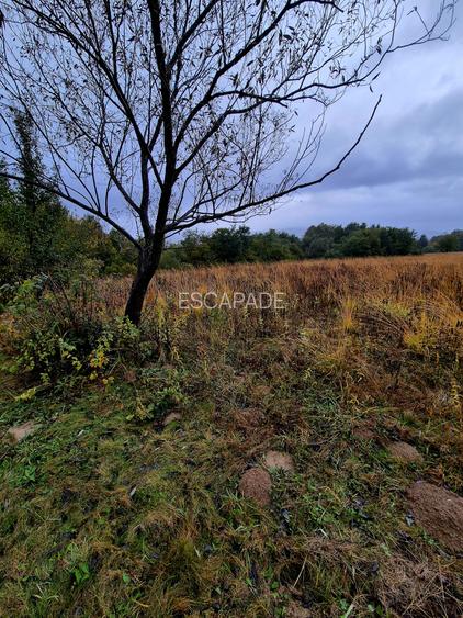 Comision 0%, teren extravilan 12497 mp Sinca Noua - 15