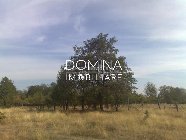 Vanzare teren intravilan 6843 mp, aproape de Manastirea Polovragi - 6